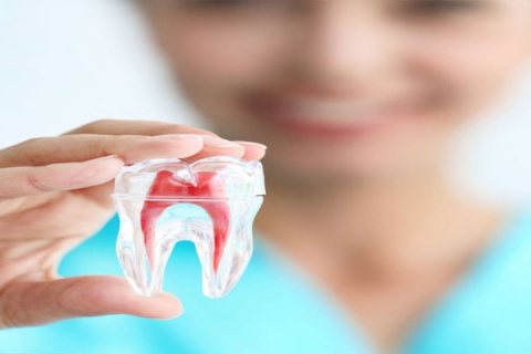متخصص ریشه دندان در پاسداران